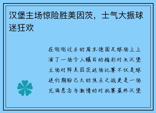 汉堡主场惊险胜美因茨，士气大振球迷狂欢